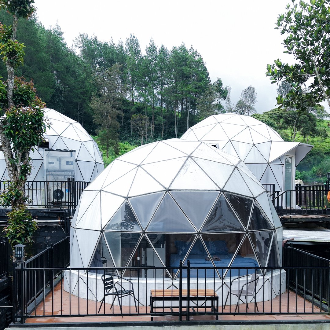 Geodesic Dome 3